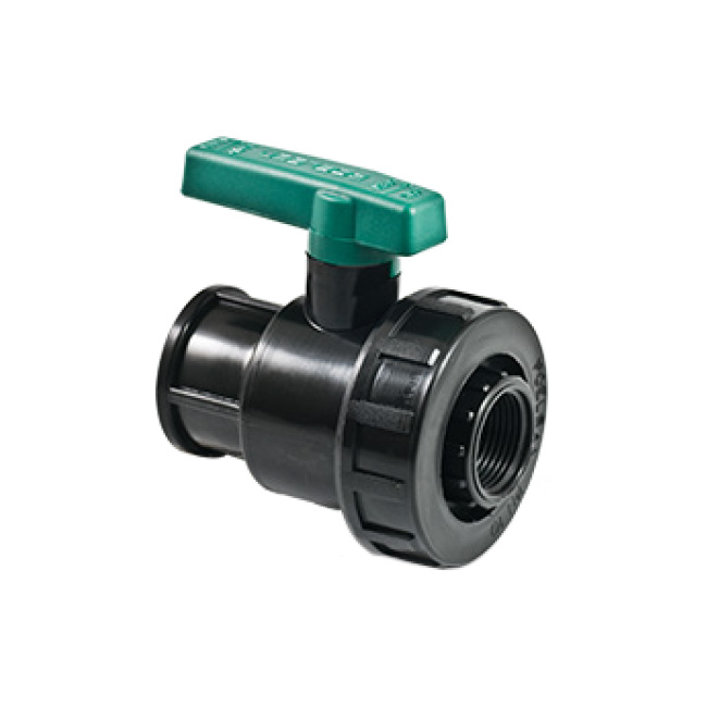 Küresel Vana Dişi - Dişi