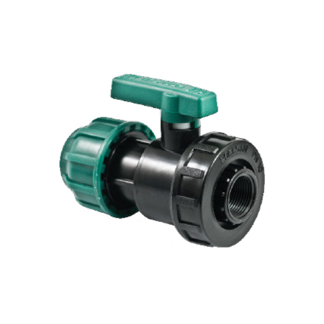 Küresel Vana Kaplin - Dişi